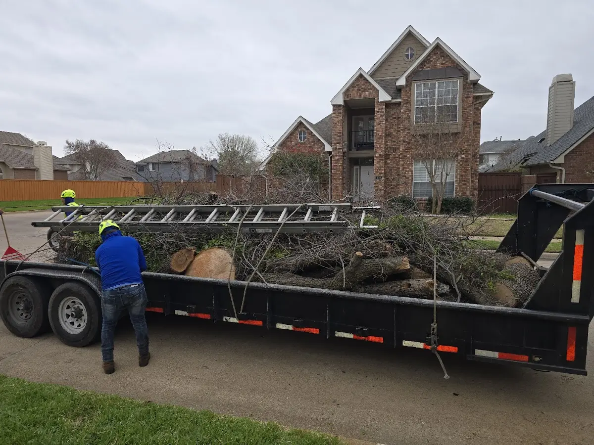 Expert Tree Fertilization with proper safety equipment in Harwick